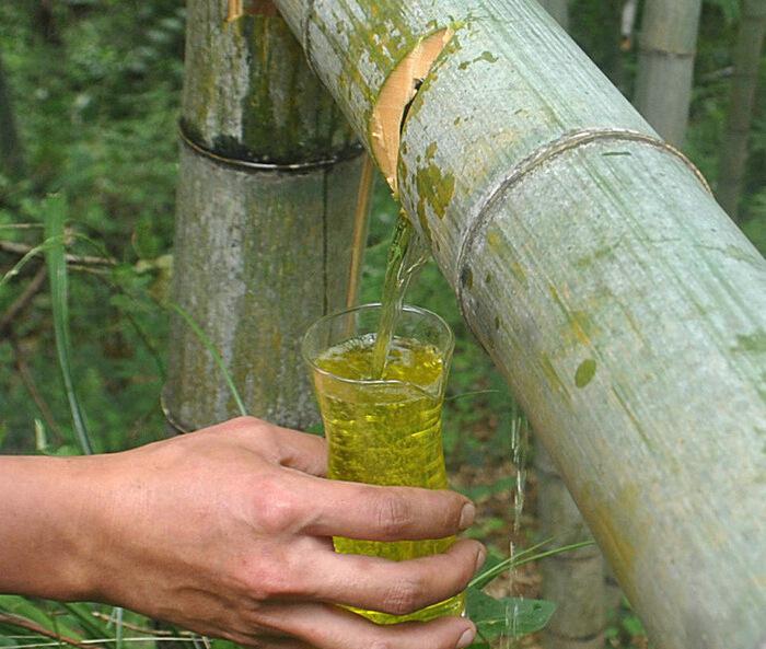 原始包裝設(shè)計